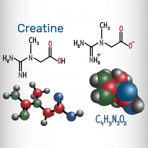molécula de creatina